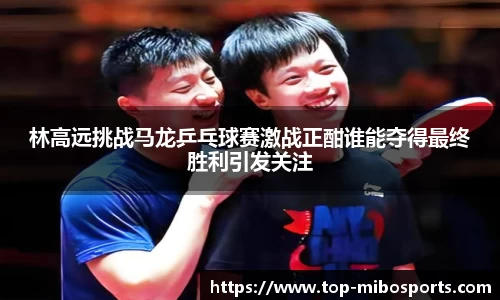 林高远挑战马龙乒乓球赛激战正酣谁能夺得最终胜利引发关注