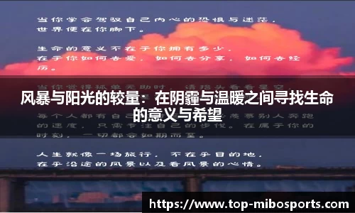 风暴与阳光的较量：在阴霾与温暖之间寻找生命的意义与希望